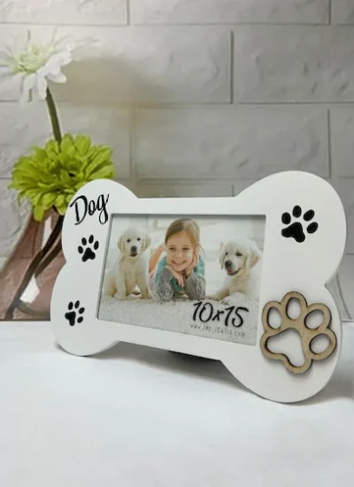 Marco-Hueso-Perro-Mascota