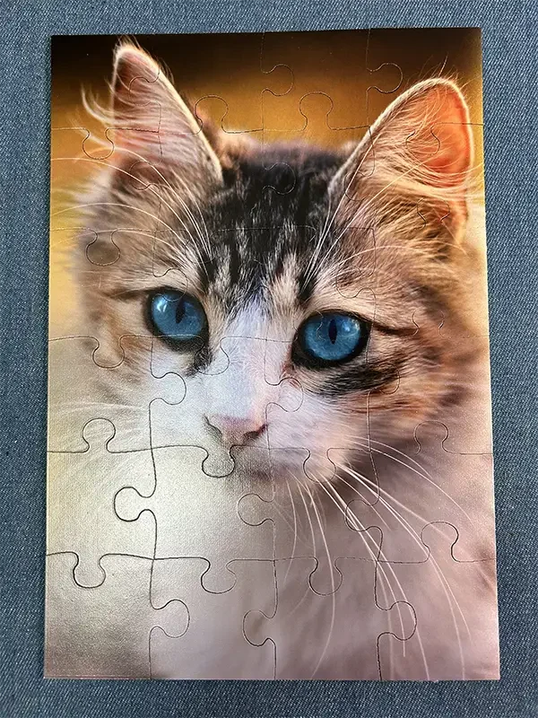 Puzzle de 24 piezas en Madera