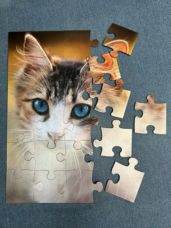 Puzzle de 24 piezas en Madera